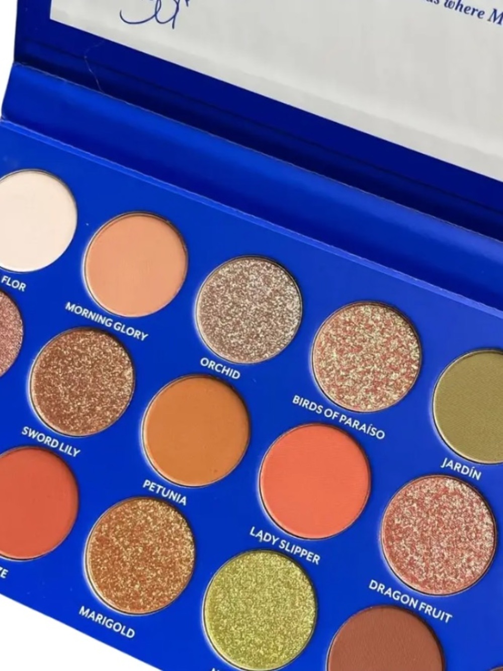Vibrant Blue Eyeshadow Palette with Mixed Shimmer & Matte Shades
